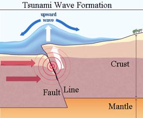 tsunami diagram with labels